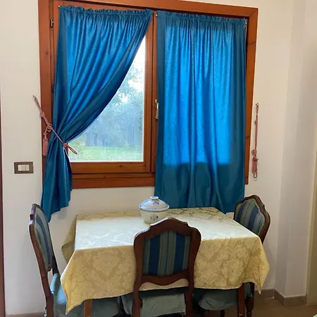 Landsted Cavendo Tutus *