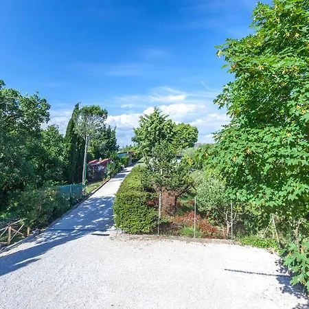 Landsted Cavendo Tutus *